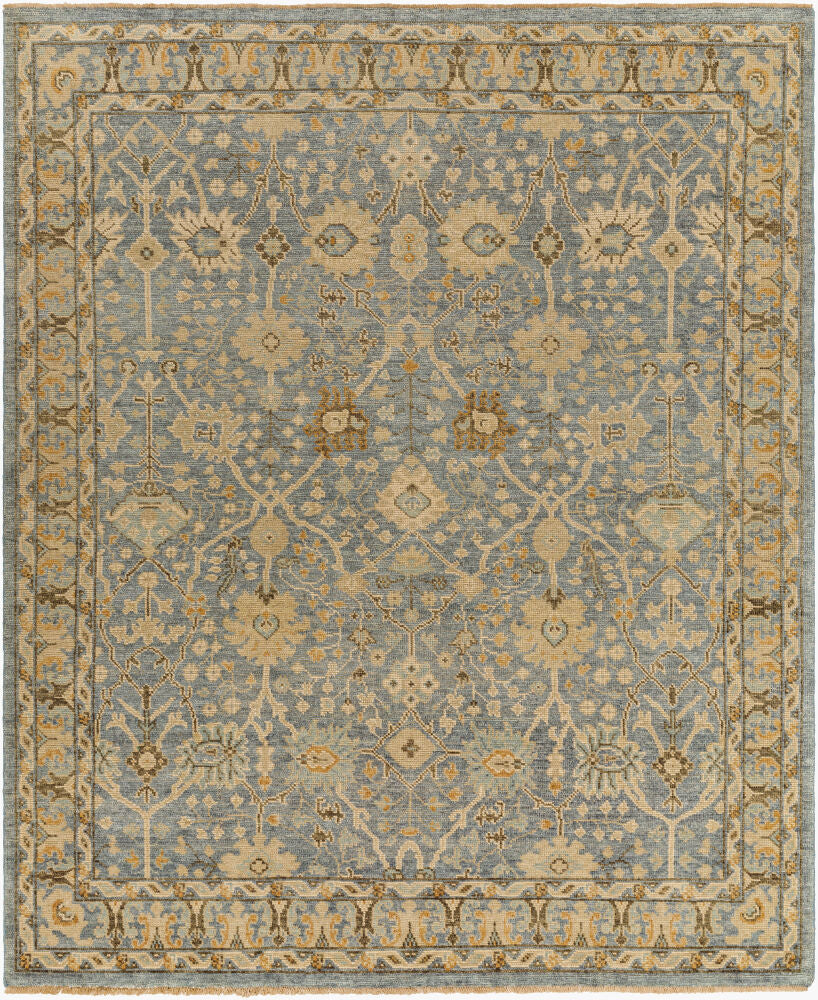 Reign REG-2312 Beige / Dark Brown Rug