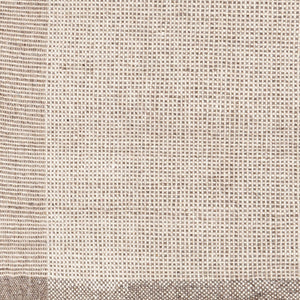 Reliance RLI-2301 Beige / Brown Rug