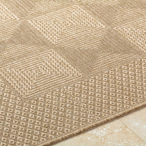 Sandra SDR-2306 Beige / Medium Brown Rug