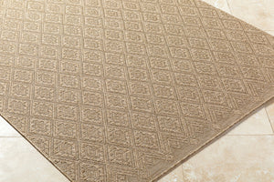 Sandra SDR-2317 Beige / Medium Brown Rug