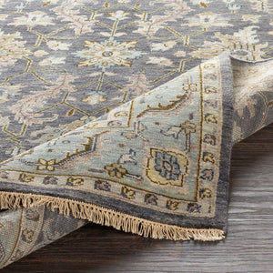 Zeus ZEU-7825 Ivory / Light Brown Rug