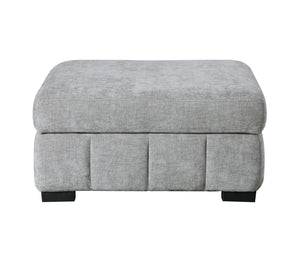 Ritchie Storage Ottoman Pewter