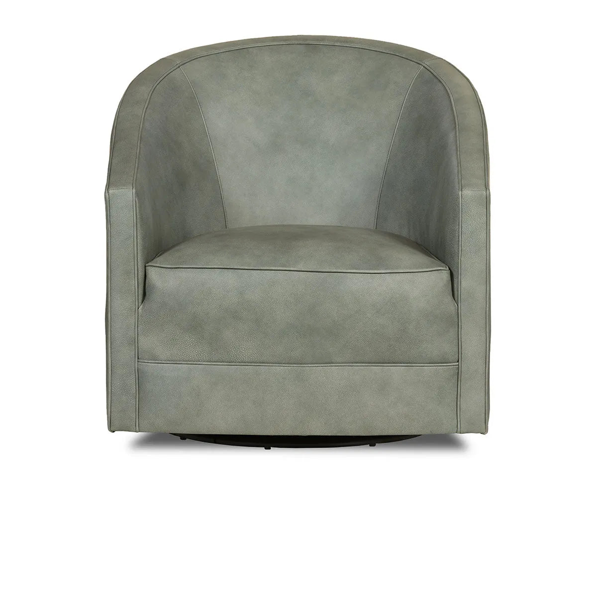 Aguilar Accent Chair - Swivel Landscape Leather, Frozen Valley/Coin - Rug & Home