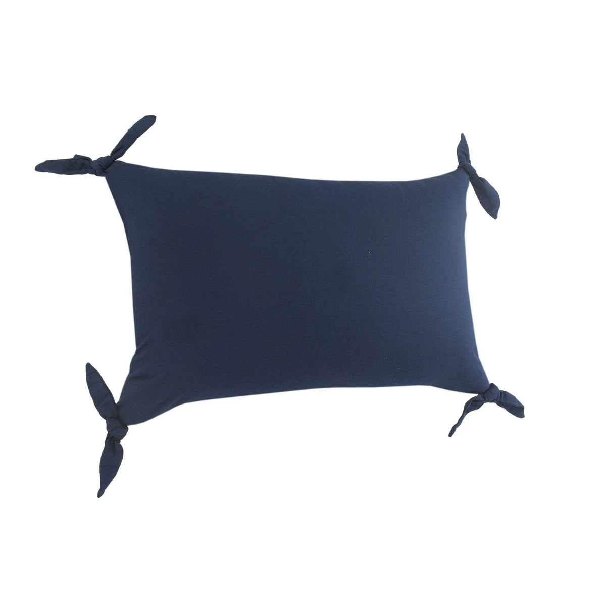 Aisha Lr07683 Ensign Blue Pillow - Rug & Home