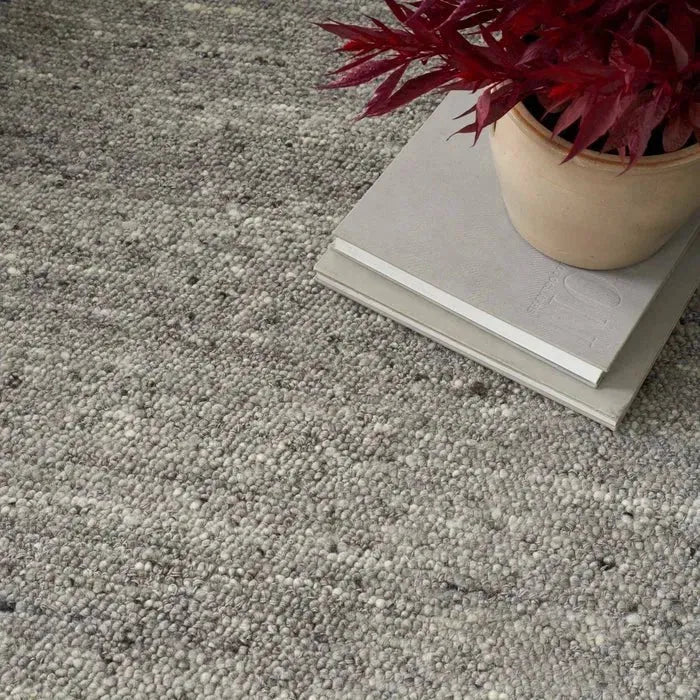 Alanna ALN01 Grey Rug