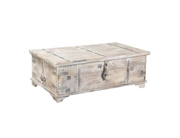 Alta Trunk Coffee Table - Rug & Home