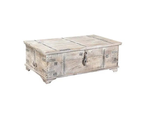 Alta Trunk Coffee Table - Rug & Home