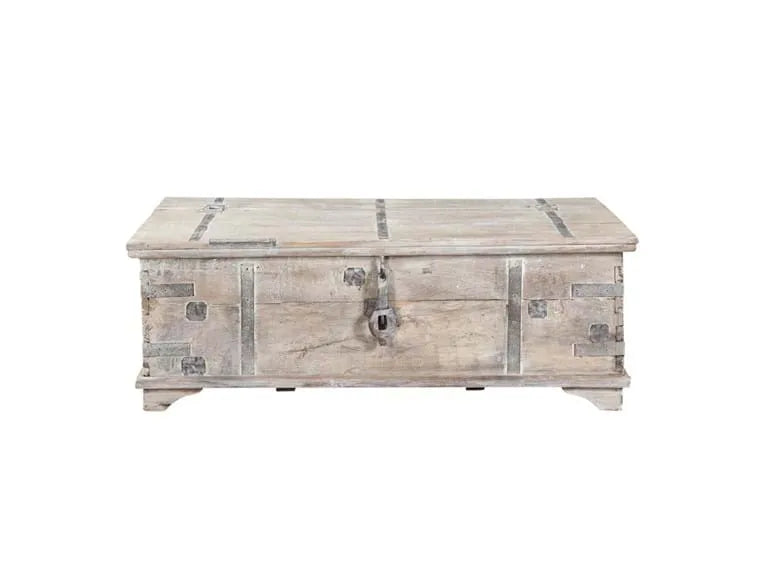 Alta Trunk Coffee Table - Rug & Home