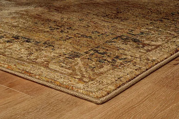 Andorra 6845D Gold/ Brown Rug - Rug & Home