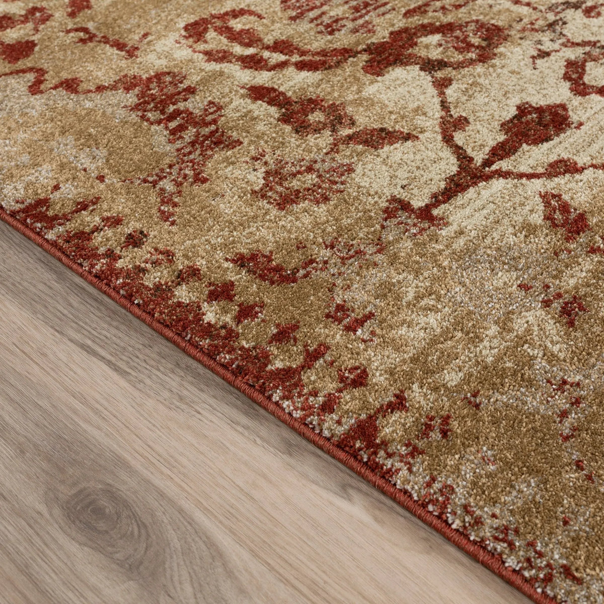 Antigua AN4 Paprika Rug - Rug & Home