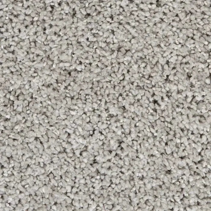 Ashland ASL02 Silver Rug