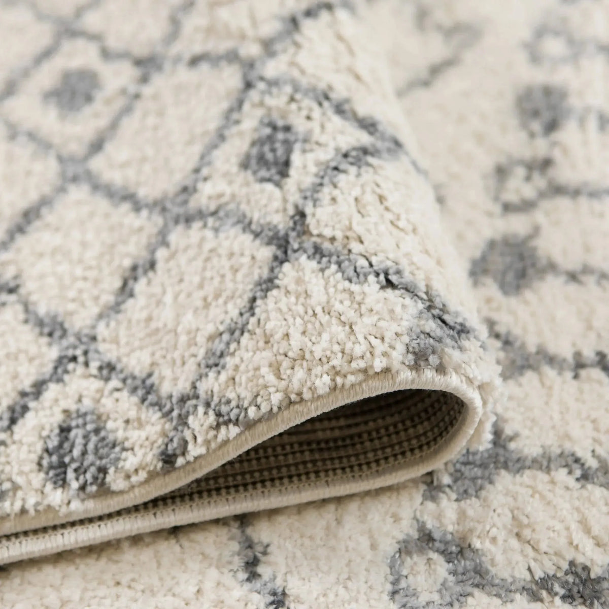 Aspen ASP-1 Ivory/Grey Rug