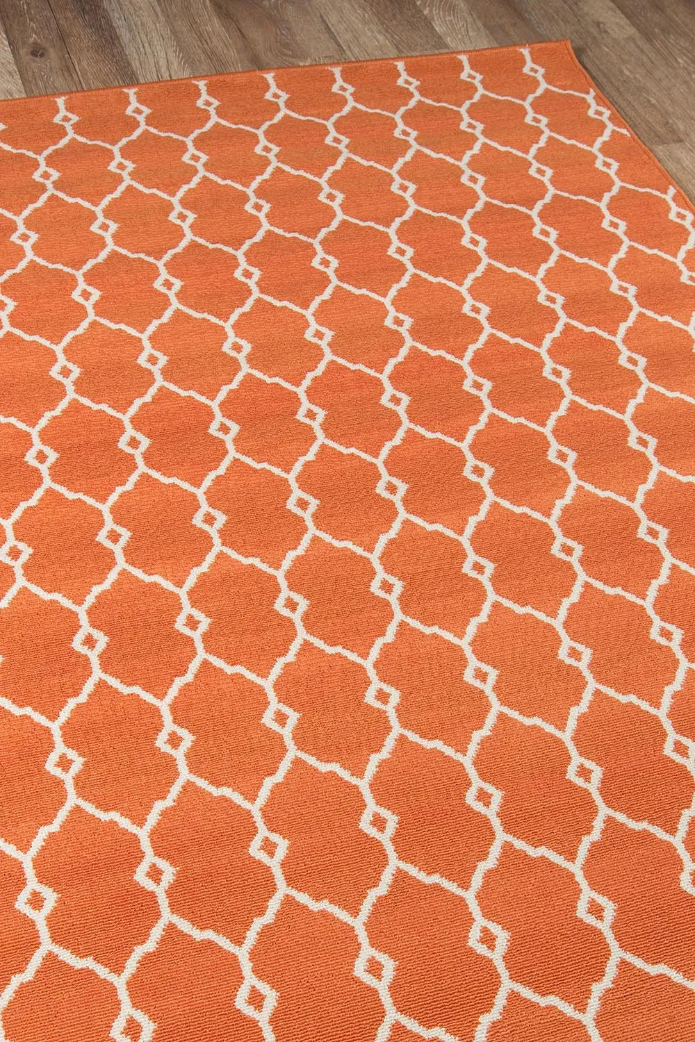 Baja BAJ-2 Orange Rug - Rug & Home