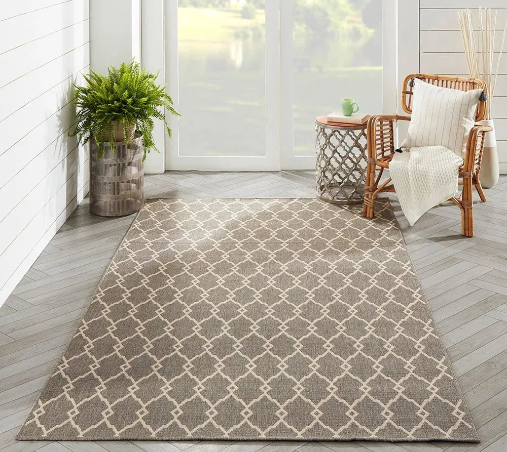 Baja BAJ-2 Taupe Rug