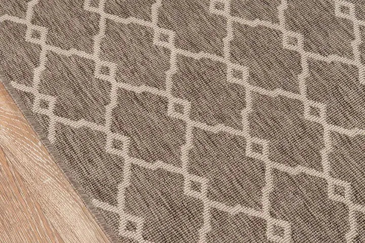 Baja BAJ-2 Taupe Rug