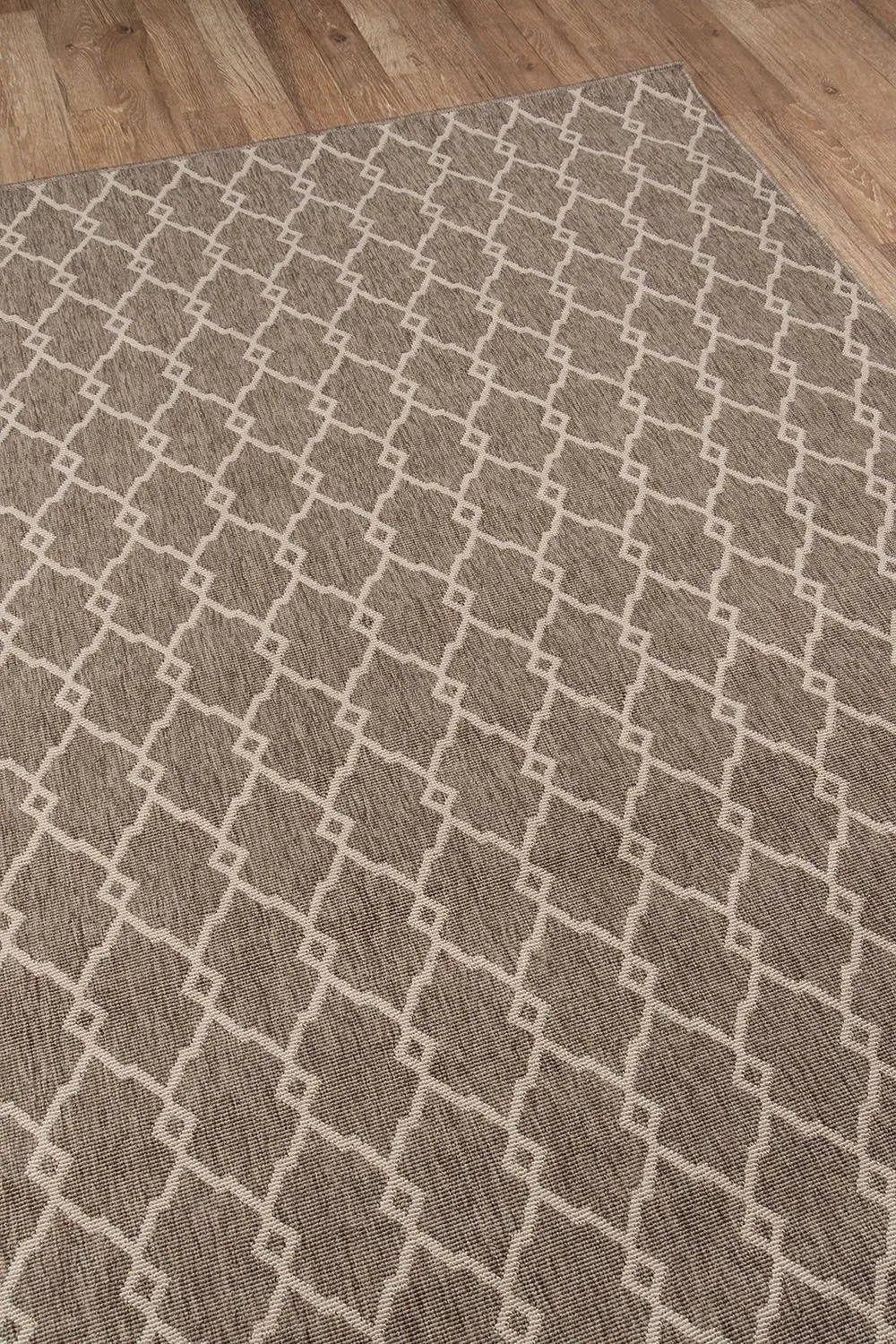 Baja BAJ-2 Taupe Rug