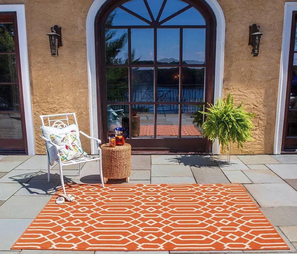 Baja BAJ-3 Orange Rug