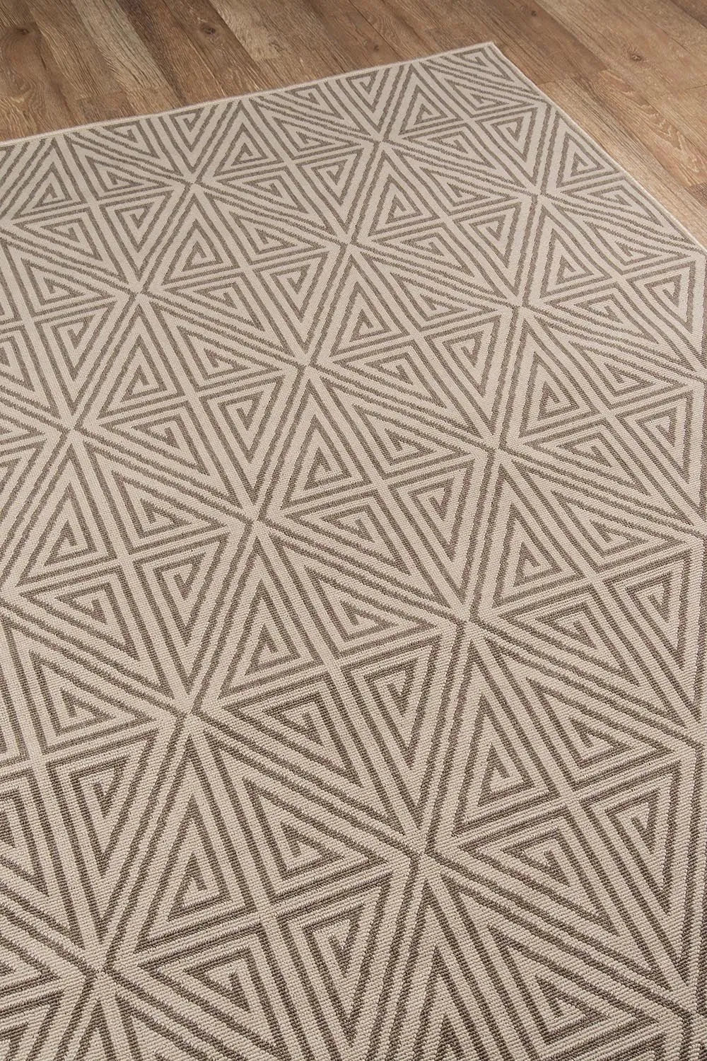 Baja BAJ-4 Taupe Rug