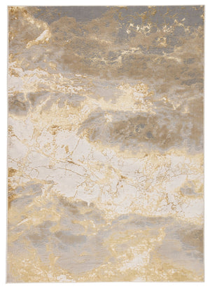 Catalyst Cty02 Cisco Gray/Gold Rug - Rug & Home