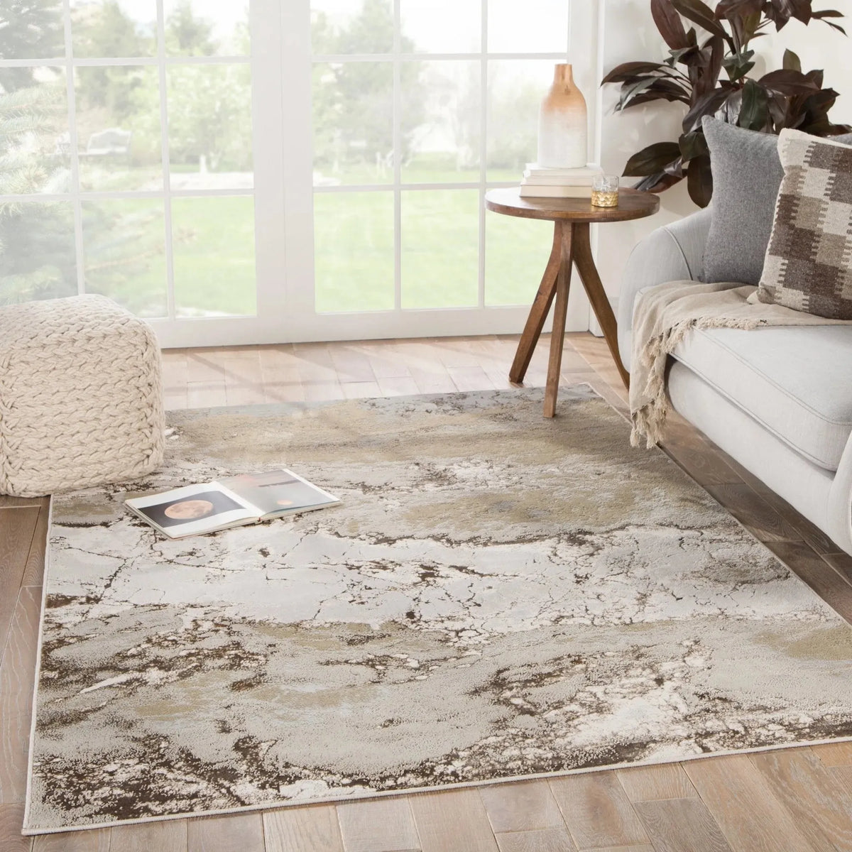 Catalyst Cty03 Cisco Gray/Brown Rug