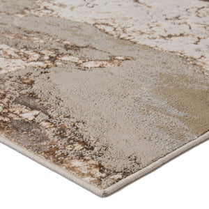 Catalyst Cty03 Cisco Gray/Brown Rug - Rug & Home