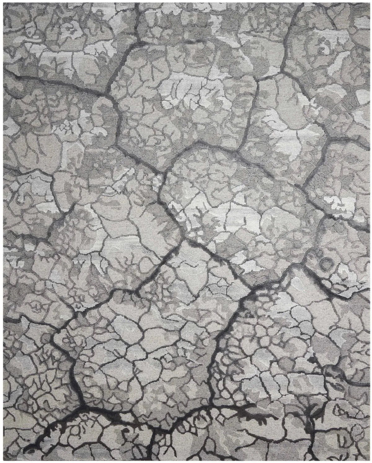 Divine Div01 Charcoal Rug