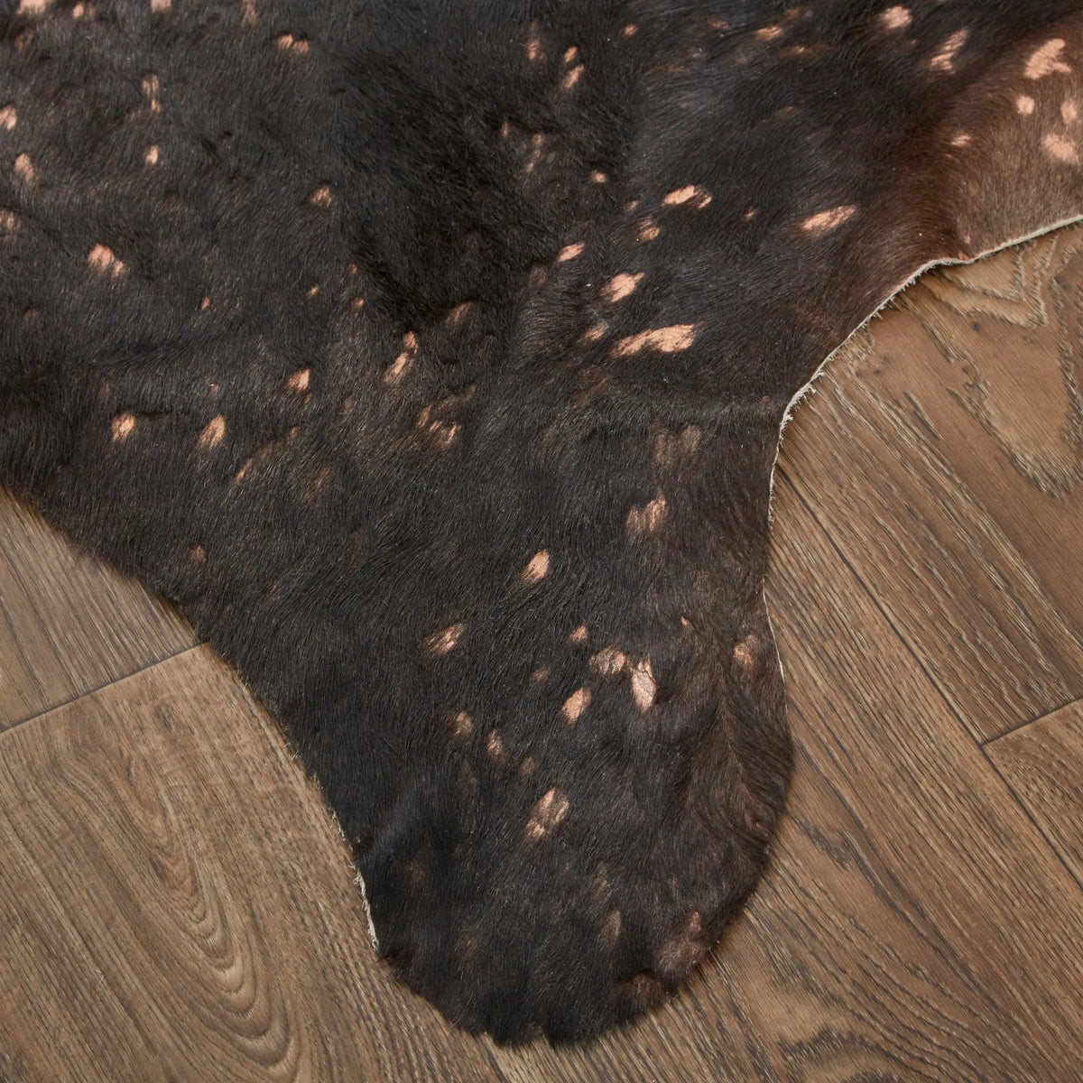 Ellyse ELLRAIND Brown Rug