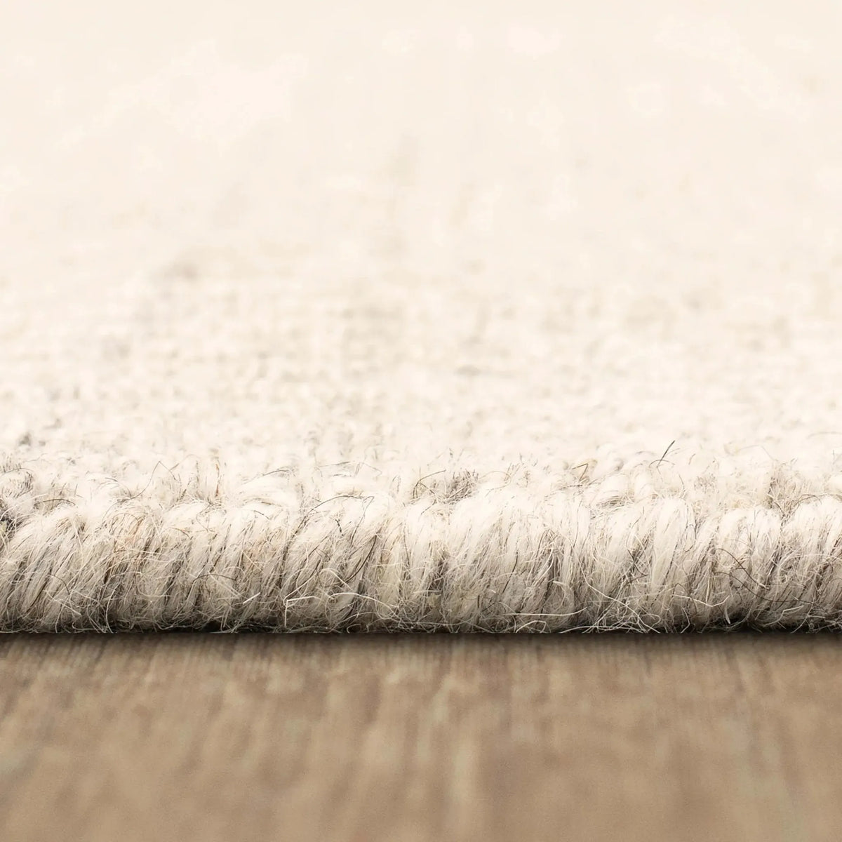 Gemini Rg145 4594 Gemini Silver Rug