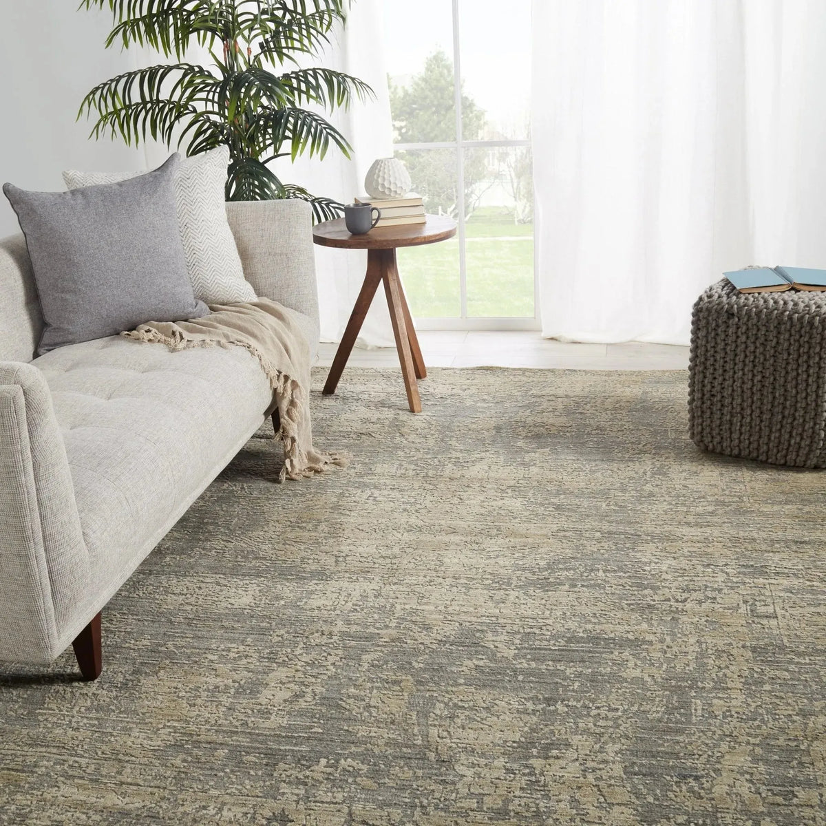 Genevieve Gnv03 Lizea Gray/Beige Rug