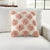 Lifestyle GC575 Blush Pillow - Rug & Home