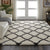 Luxe Shag LXS02 Ivory/Charcoal Rug - Rug & Home