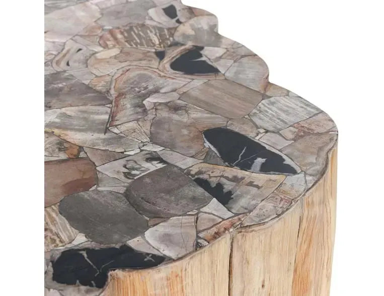 Norwest Petrified Wood Coffee Table Natural