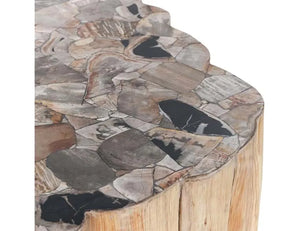 Norwest Petrified Wood Coffee Table Natural - Rug & Home