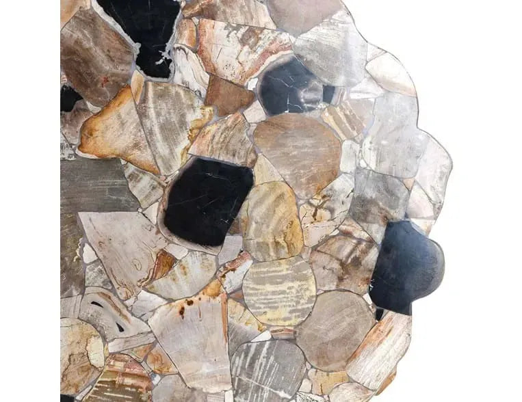 Norwest Petrified Wood Coffee Table Natural