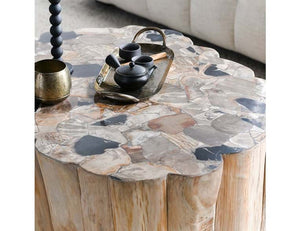 Norwest Petrified Wood Coffee Table Natural - Rug & Home