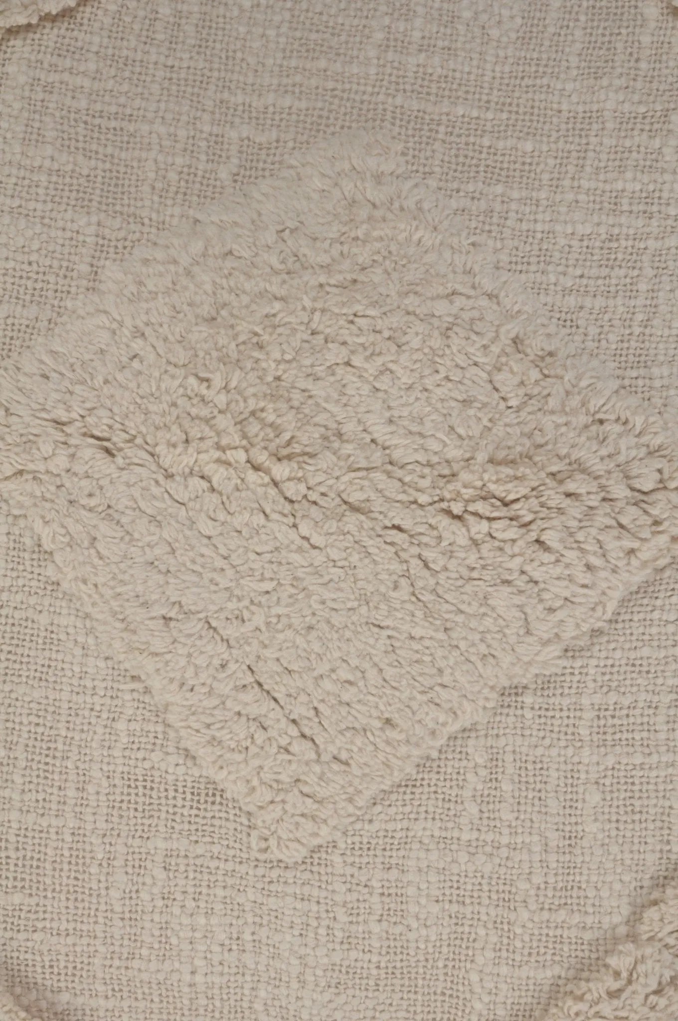 Reese Lr07532 Birch Pillow - Rug & Home