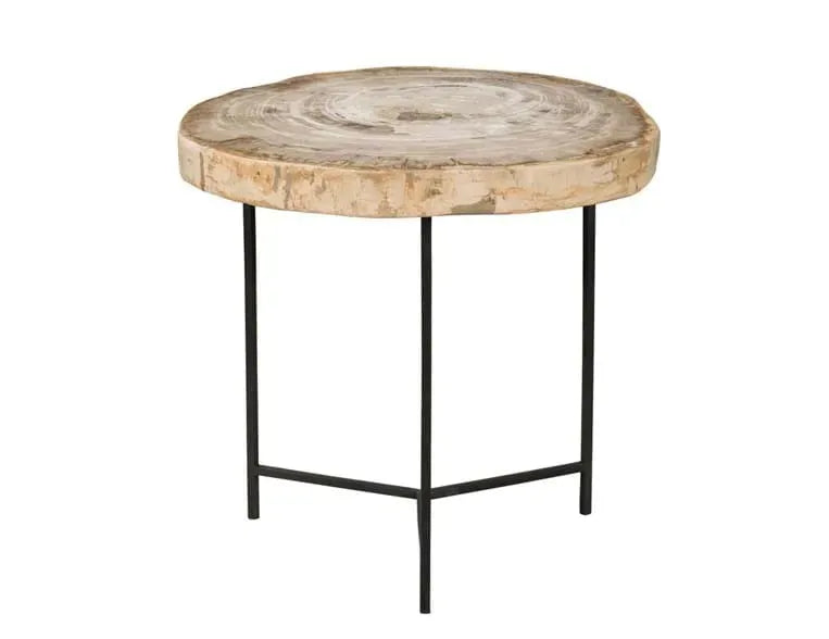 Riley Petrified Wood Accent Table Large - Rug & Home