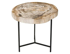 Riley Petrified Wood Accent Table Medium - Rug & Home