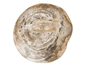 Riley Petrified Wood Accent Table Medium - Rug & Home