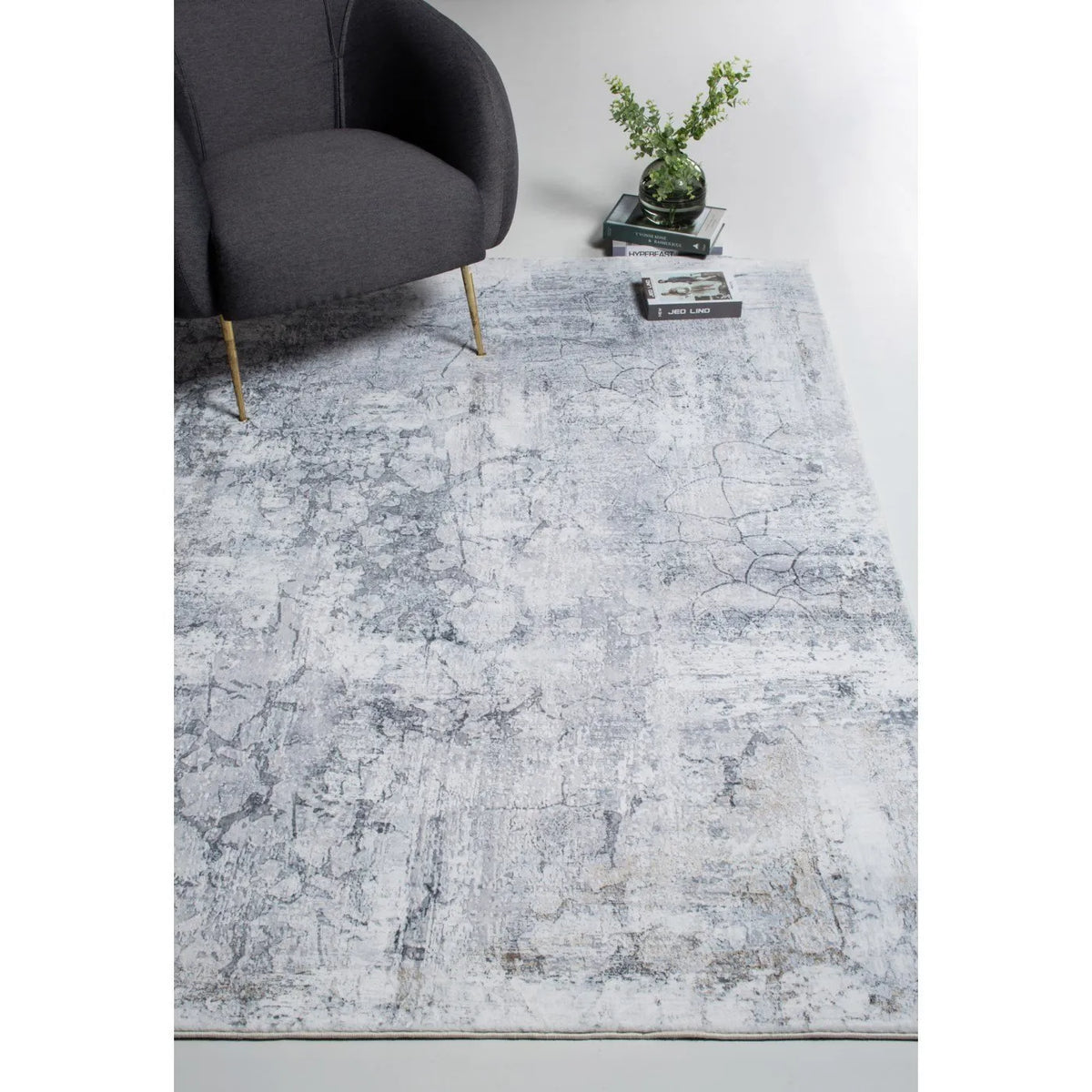 Roxy 2807 Grey Tranquility Rug - Rug & Home