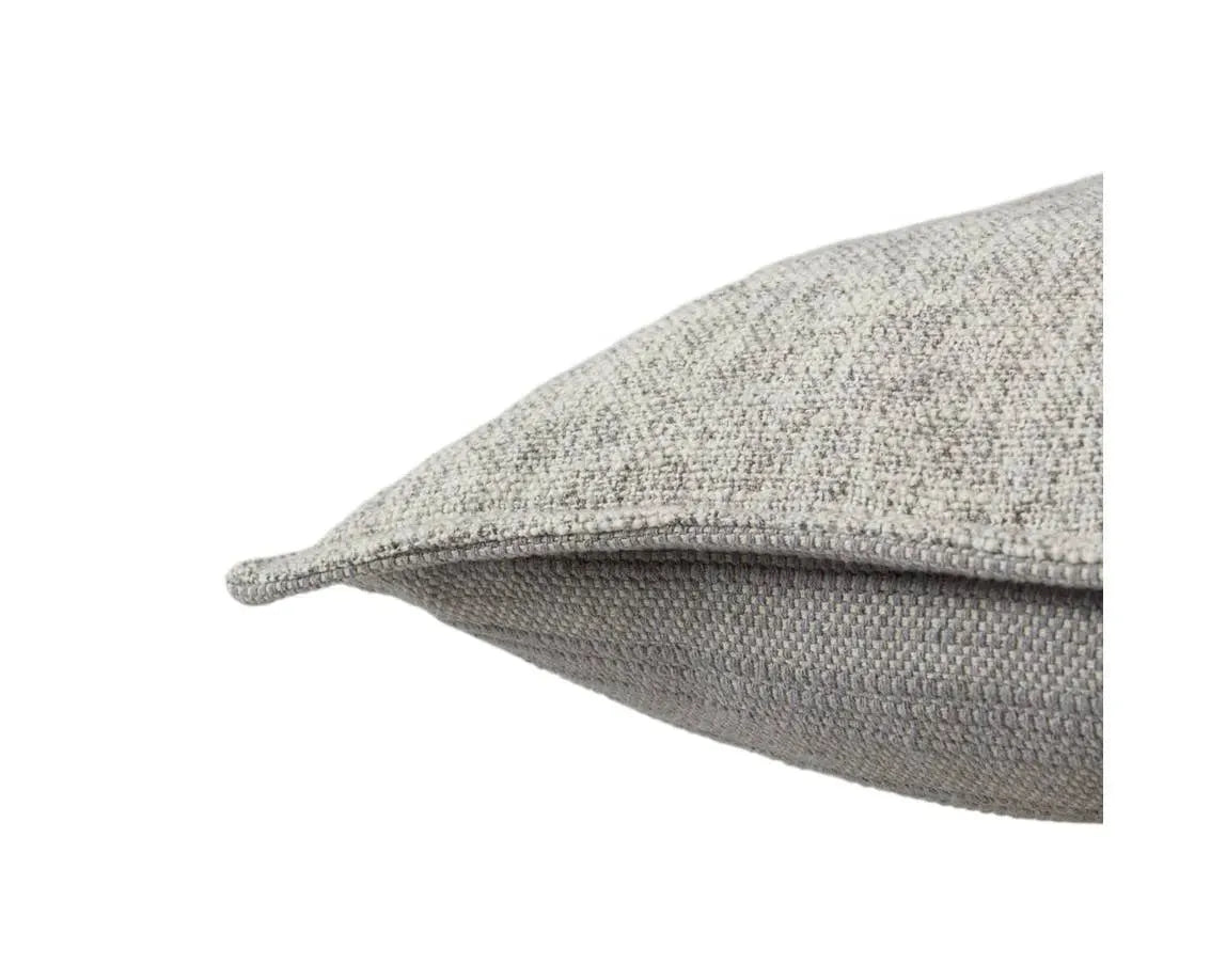 Tanzy TAN05 Cream/Silver Pillow