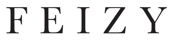 Feizy logo